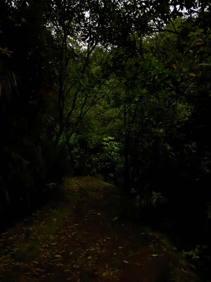 Auckland North Shore Glowworm Tour - Meeting at Hairluxx Boutique Torbay and getting the night-start right