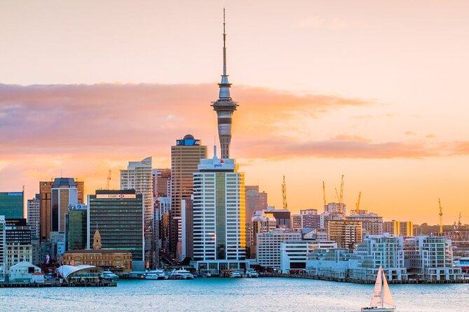Auckland Private Custom Walking Tour with A Guide (Private Tour) - Meet-Up, Timing, and Moving Around Without Fuss