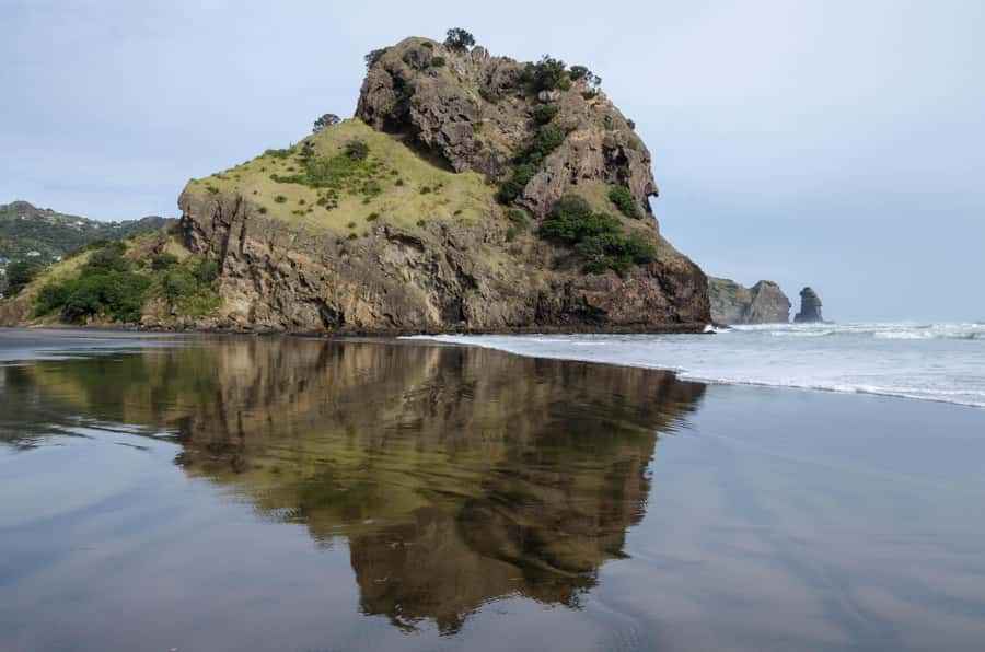 Auckland Private Tour: West Coast Wilderness & Piha Beach - West Coast Wilderness and Piha in one smooth private day