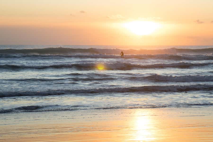 Auckland Private Tour: West Coast Wilderness & Piha Beach - Arataki Visitor Centre: your orientation stop in the Waitākere Ranges