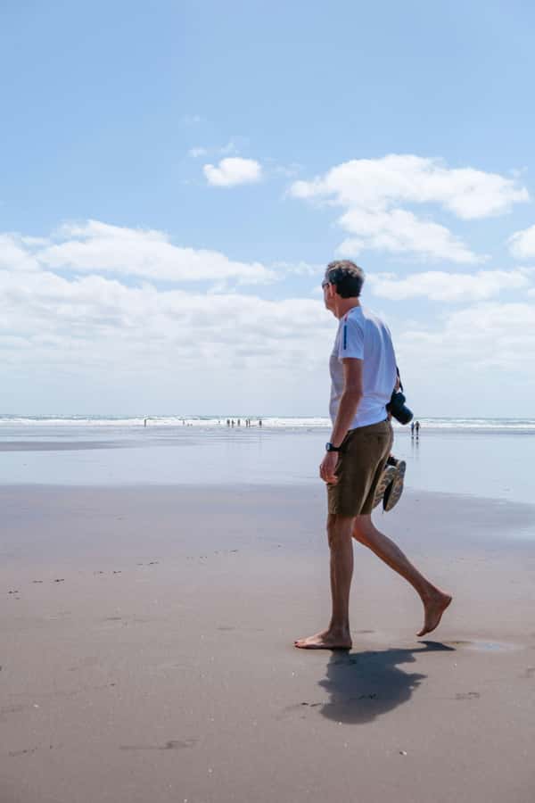 Auckland Private Tour: West Coast Wilderness & Piha Beach - Value and price: what $179 per person buys you