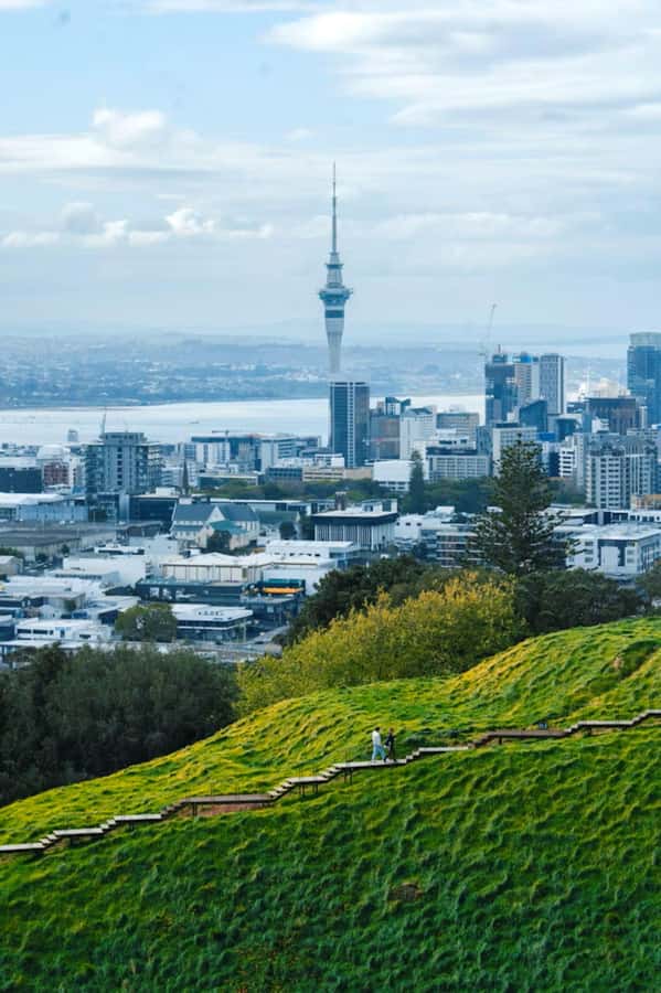 Auckland: Private Walking Tour with a Local - Water Views, Bridge Lights, and the City’s Best Photo Moments