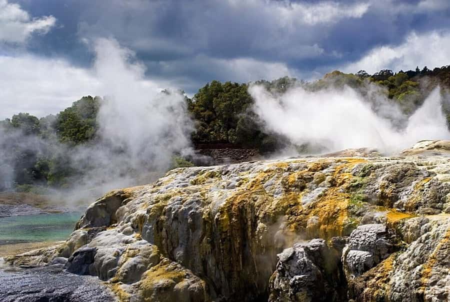 Auckland: Rotorua Living Maori Village Tour w/ Haka & Lunch - Key things I’d bank on before you go