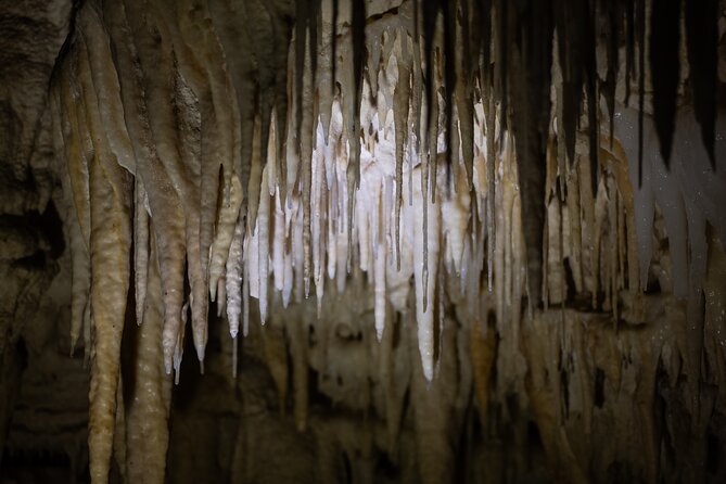 Auckland: Rotorua Māori Village, Waitomo Caves & Lunch - Rotorua’s geothermal stop: what you’ll see and what it means