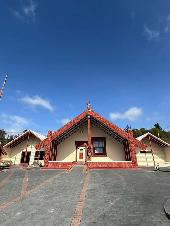 Auckland: Rotorua Māori Village & Waitomo Caves with Lunch - Rotorua geothermal sights: geysers, mud pools, and how to pace yourself