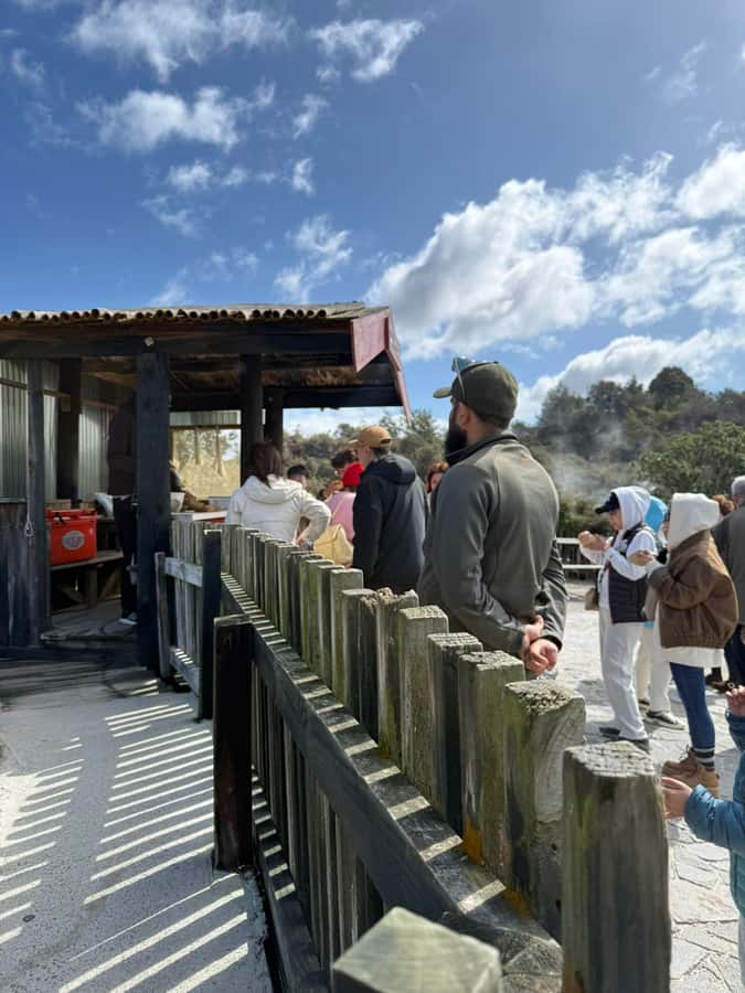 Auckland: Rotorua Māori Village & Waitomo Caves with Lunch - Picnic lunch timing: fueling the long day without derailing it