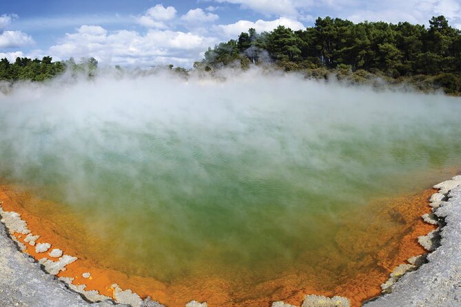 Auckland: Rotorua Tour with Waiotapu, Te Puia and Maori Haka - A 6:00 am Rotorua run: what the long day feels like