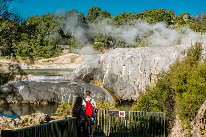Auckland: Rotorua Tour with Waiotapu, Te Puia and Maori Haka - Who this tour fits best (and who might prefer something else)