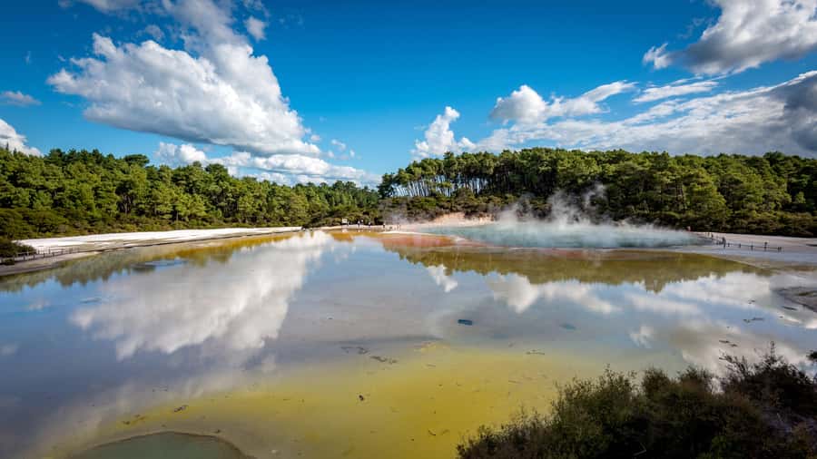 Auckland: Rotorua Wai-O-Tapu, Te Puia with Haka - Te Puia guided experience: Pōhutu Geyser, kiwi conservation, and arts