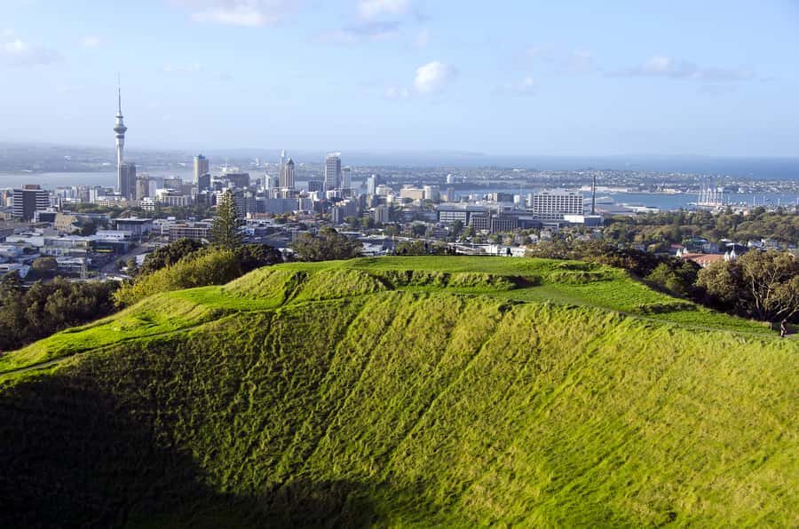 Auckland Scenic Half-Day City Sightseeing Tour - The Harbour Bridge drive plus Northcote Point: your best city-back photos
