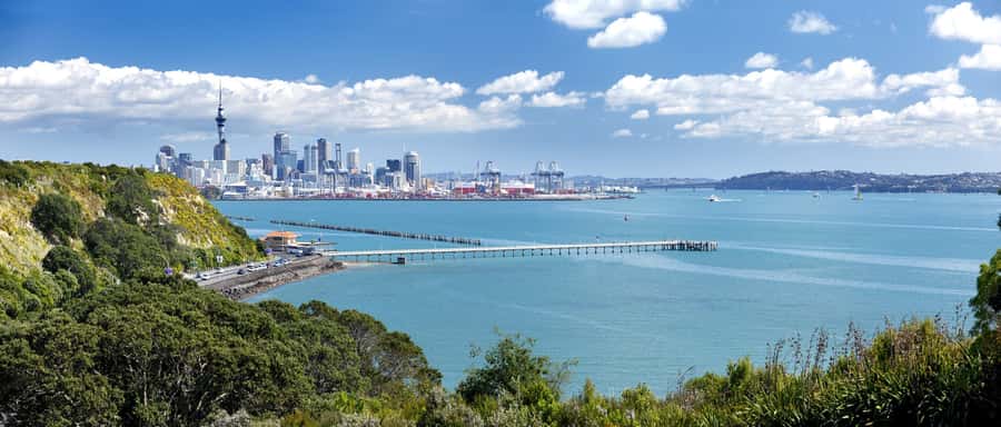Auckland Scenic Half-Day City Sightseeing Tour - Mount Eden Volcano: the crater view that makes the whole tour click