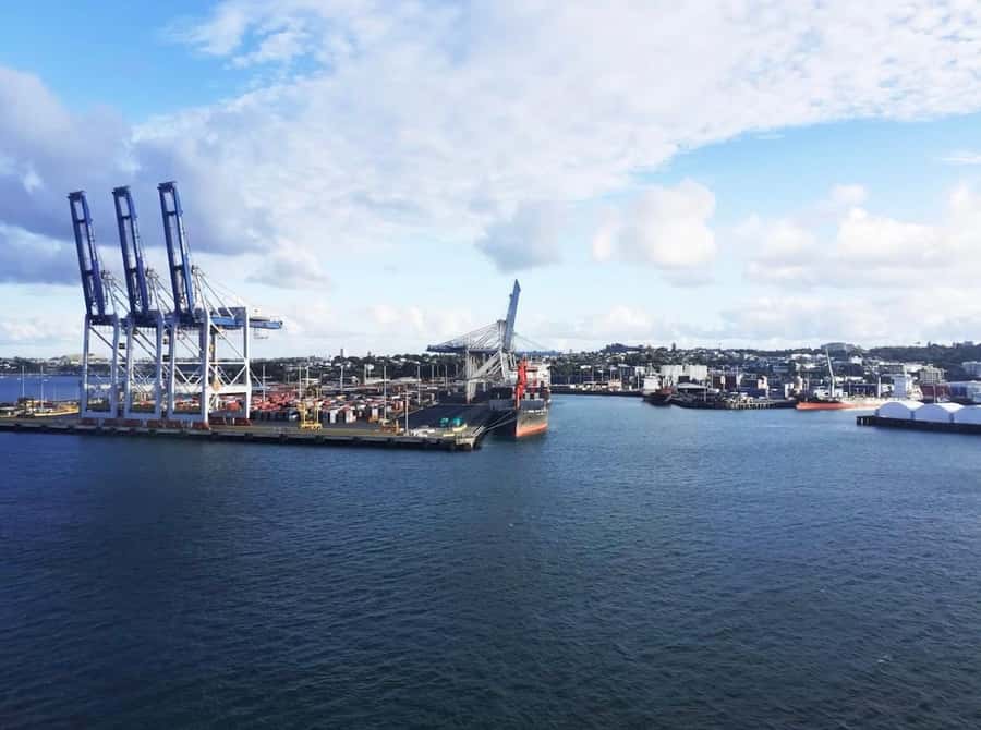 Auckland: Scenic Harbour Cruise with Live Commentary - Skyline Highlights: Harbour Bridge, Sky Tower, Devonport, and Rangitoto