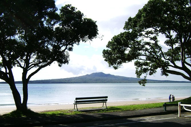 Auckland Shore Excursion: Half-Day Guided City Tour - Westhaven Marina, Fish Market Glimpse, and the Viaduct Harbour Finish
