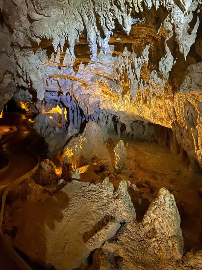 Auckland: Spellbound Glowworm Caves Explorer Tour - How the guides turn cave geology and glowworm life cycles into something you can remember