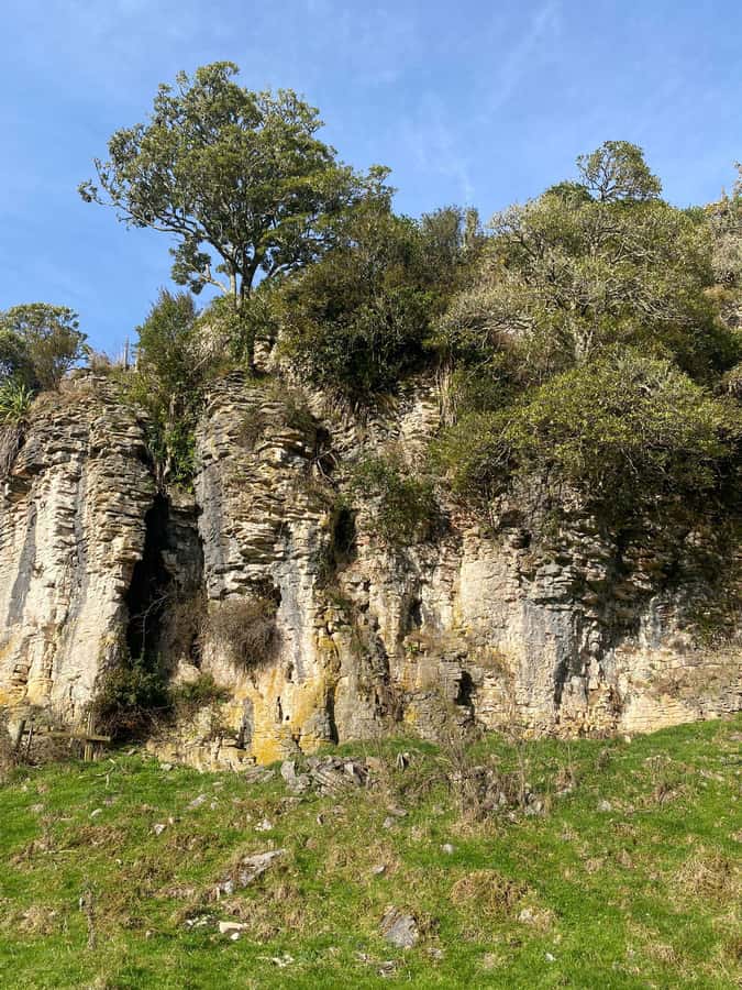 Auckland: Spellbound Glowworm Caves Explorer Tour - Otorohanga break and lunch planning you can actually handle