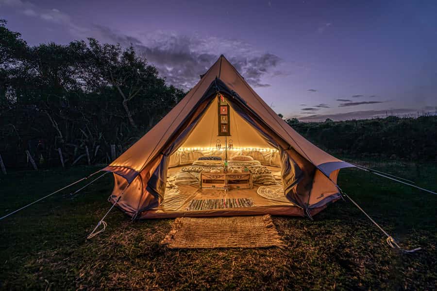 Auckland (Tawharanui): Wild Kiwi Bird Spotting Encounter - Why Tawharanui at night is such a good match for kiwi and stars