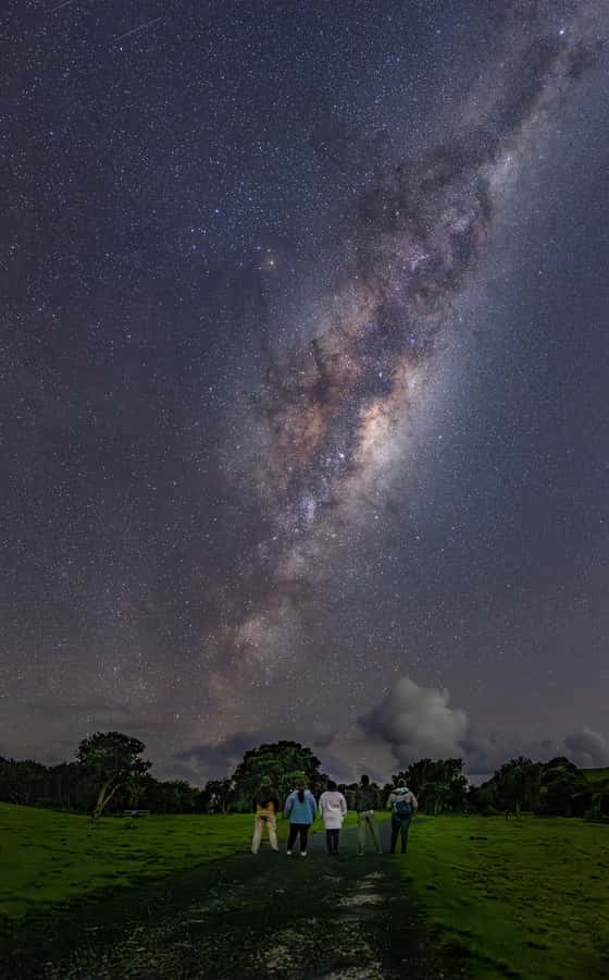 Auckland (Tawharanui): Wild Kiwi Bird Spotting Encounter - Stargazing after the bush: planets, constellations, and a telescope