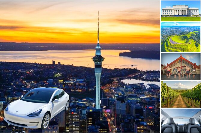 Auckland: Tikapa Moana Dolphin, Whale and Island Cruise - Timing That Actually Matters: Summer Schedule at a Glance