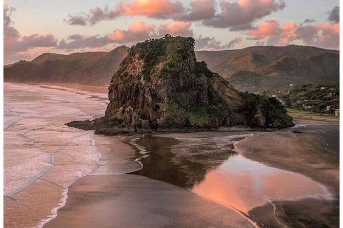 Auckland: Tikapa Moana Dolphin, Whale and Island Cruise - Who Should Book This Cruise (and Who Might Be Happier Elsewhere)