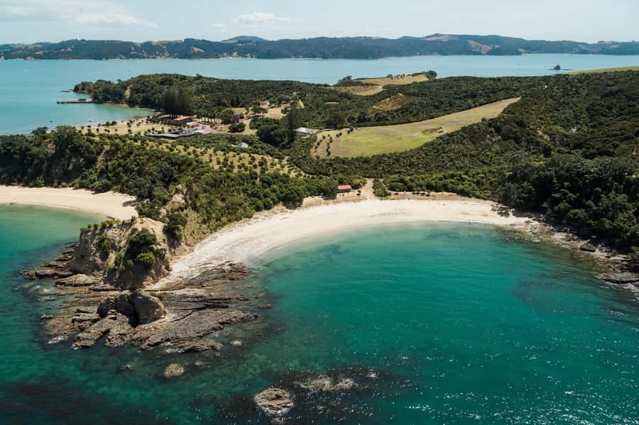 Auckland: Tikapa Moana Whales, Dolphins and Islands Cruise - Final Call: Should You Book Tikapa Moana?