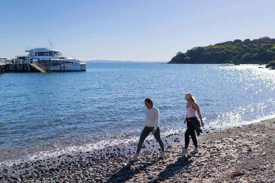 Auckland: Tiritiri Matangi Island Ferry - Auckland vs Gulf Harbour: picking the start that fits your day