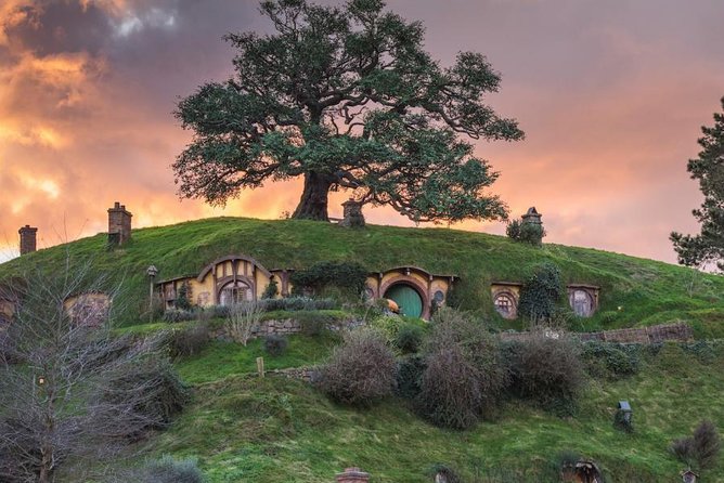 Auckland to Hobbiton Movie Set and Rotorua's Geothermal Valley - Who This Tour Is Best For (And Who Should Pass)
