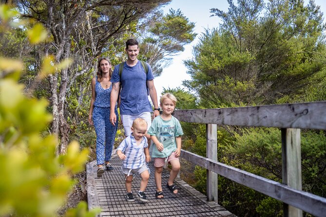 Auckland to Rangitoto Island Ferry - Lava caves and detours: what you can do with your time