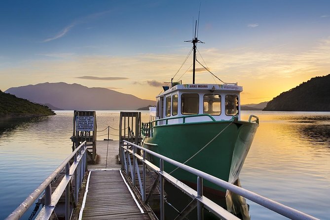 Auckland to Rotorua Private Tour - Private Auckland to Rotorua in a Mercedes: what you’re paying for