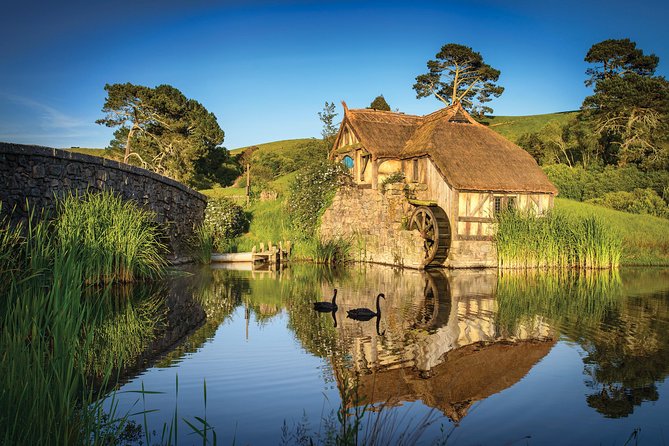 Auckland to Rotorua via Hobbiton Movie Set Tour - One Way - Riding into Rotorua by mid-afternoon