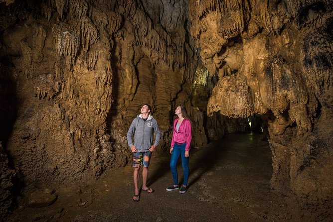 Auckland to Rotorua via Waitomo Caves Small Group Tour (One Way) - The early start and the Waikato drive: coffee, Kiwiana, and photo stops