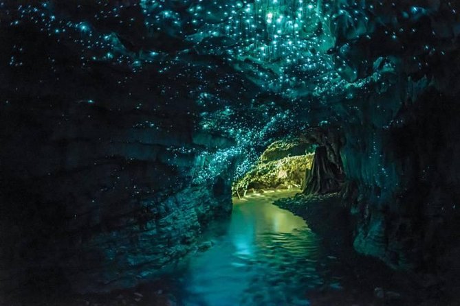 Auckland to Rotorua via Waitomo Caves Small Group Tour (One Way) - Waitomo Glowworm Caves: guided cave time, no photos, and real atmosphere