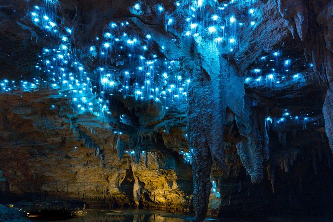 Auckland to Waitomo Caves and Hobbiton Movie Set Private Tour - Glowworm Caves Boat Ride: What the 45-Minute Waitomo Tour Is Like