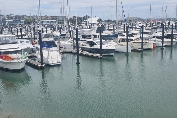 Auckland Town and Country Delights Tour - Cockle Bay: A Small Beach Stop With Real Calm
