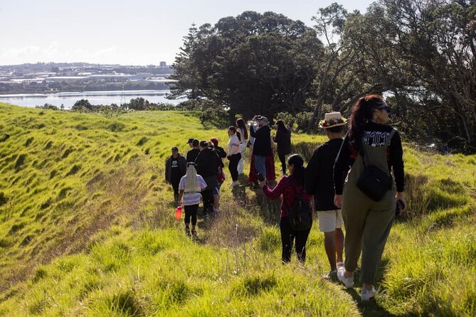 Auckland Urban Māori Experience with Transportation - A day built for Auckland’s Māori and Pacific connections