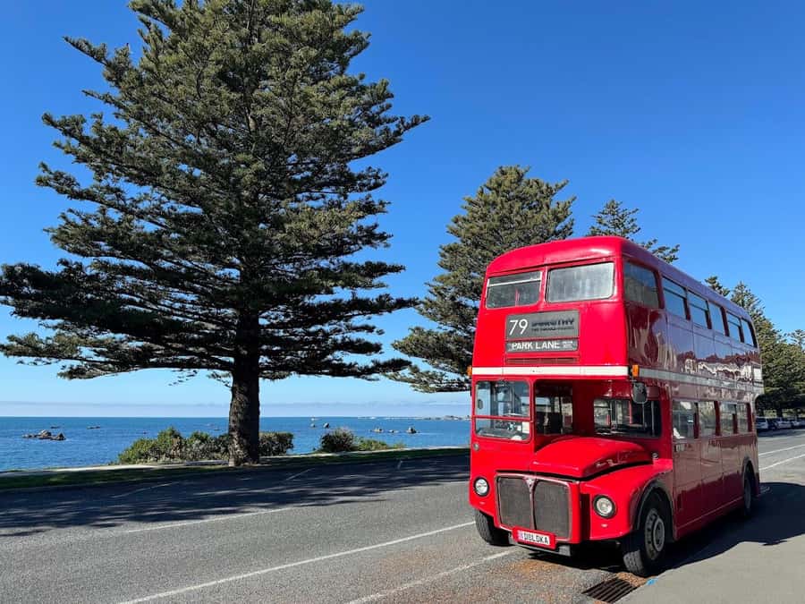 Auckland: Vintage Double-Decker Bus Sightseeing Tour - Why This Vintage 1964 Bus Ride Feels Like More Than a Tour