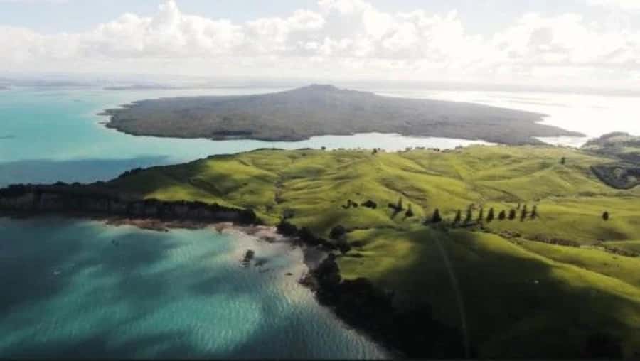 Auckland: Waiheke Island Wine and Food Tasting with Flights - Lunch plus tastings: how the three-course meal fits the wine