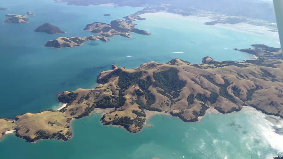 Auckland: Waiheke Island Wine and Food Tasting with Flights - Small group energy: hearing the guide and staying relaxed