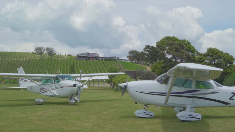 Auckland: Waiheke Island Wine and Food Tasting with Flights - Price and value: does $388 make sense for this day?