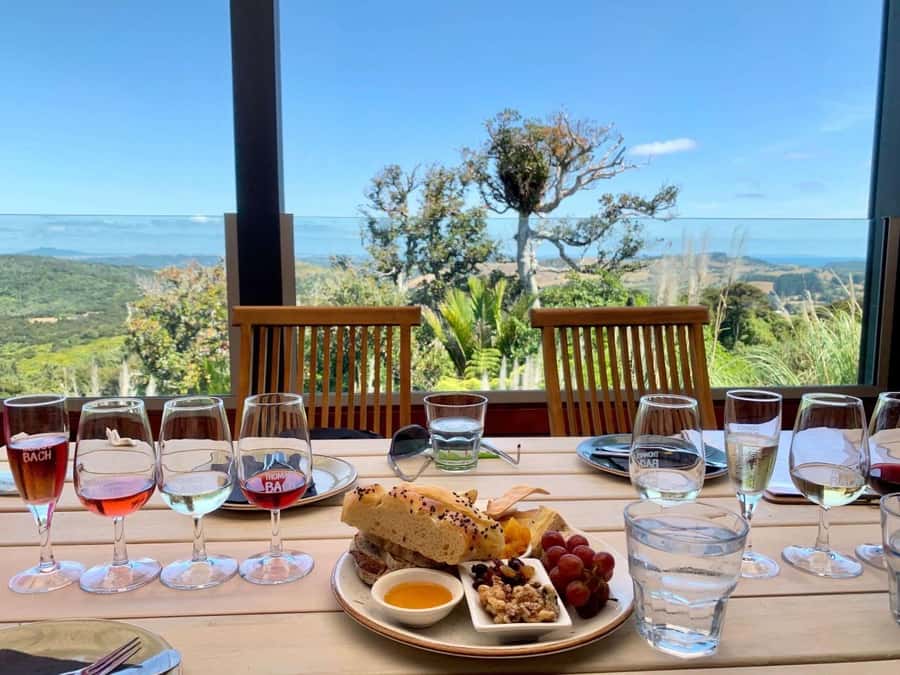 Auckland: Waiheke Island Wine and Food Tasting with Flights - Who should book this Waiheke Wings day