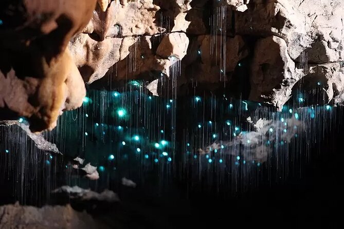 Auckland : Waitomo Spellbound Glow Worm Twin Caves Private Tour - Te Ana o Te Atua: Cave of the Spirit, fossils, and sinkholes
