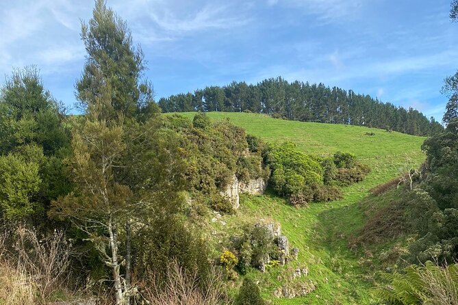 Auckland : Waitomo Spellbound Glow Worm Twin Caves Private Tour - Price and value for a $465.43 private day