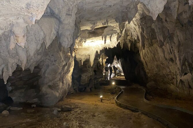 Auckland : Waitomo Spellbound Glow Worm Twin Caves Private Tour - Should you book the Spellbound Glowworm Twin Caves private tour?