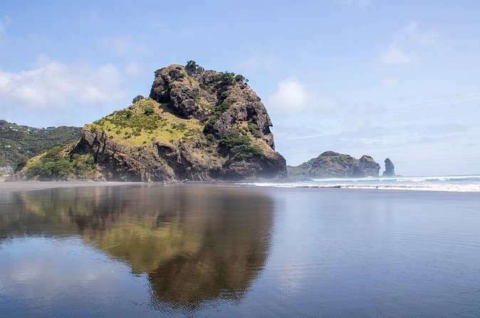 Auckland West Coast Half-Day Private Tour - Price and Value: Is It Worth $176.27 Per Person?