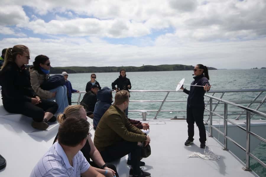 Auckland: Whale and Dolphin Watching Half-Day Eco Cruise - Key reasons this cruise is a standout in Auckland