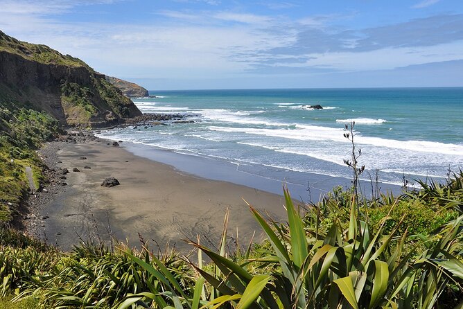 Auckland's Wild West Coast & Black Sand Beaches Tour inc Lunch - Key highlights worth planning around