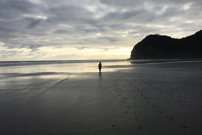Auckland's Wild West Coast & Black Sand Beaches Tour inc Lunch - Why the guides (Grant and Dean stand out) can make or break the day