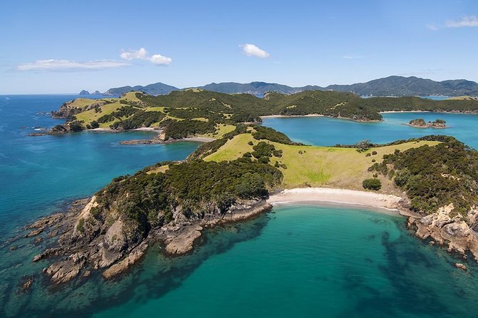 Bay of Islands 2-Day Small Group Tour & Cruise from Auckland - The morning run: Auckland out to Dargaville and Matakohe Kauri Museum