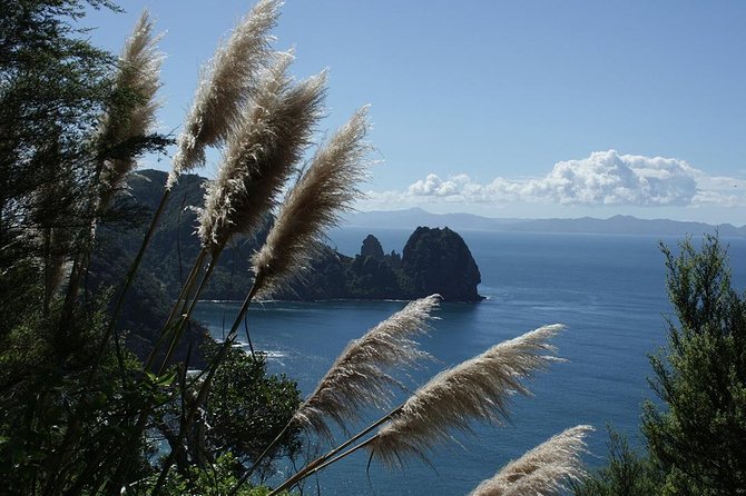 Bay of Islands 2-Day Small Group Tour & Cruise from Auckland - Bay of Islands cruise, Hole in the Rock, and Urupukapuka Island time
