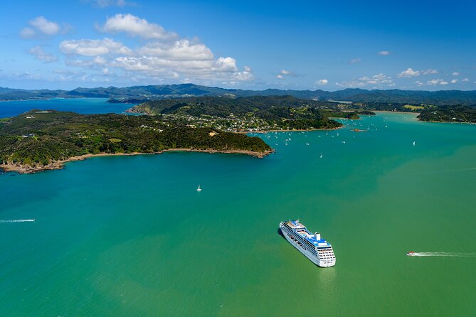 Bay of Islands Discovery Experience from Auckland incl. Hole In The Rock Cruise - What to pack and how to make the day feel easier