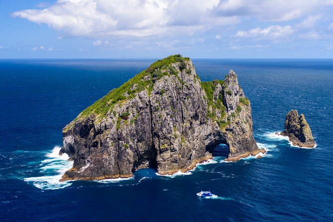 Bay of Islands Explorer Experience Small Group Tour From Auckland - Key highlights you’ll actually care about
